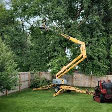 Best Soil Testing and Treatment  in East Hazel Crest, IL