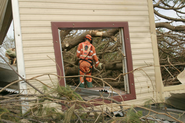  East Hazel Crest, IL Tree Services Pros